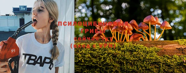 МДПВ Алексин