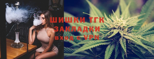 PSILOCYBIN Майский