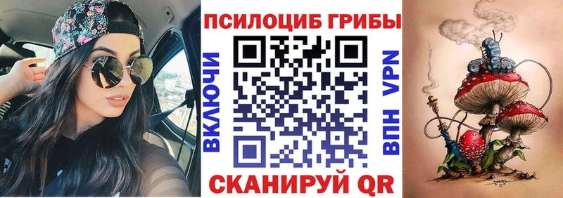 Псилоцибиновые грибы Psilocybe  блэк спрут онион  Сосенский 